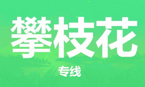 苏州到攀枝花物流公司-苏州到攀枝花物流专线-苏州到攀枝花货运运输物流专线需要好久要多久